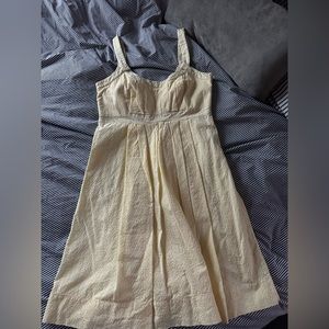 Calvin Klein Women Spring Dress